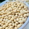 Soybeans Supplier