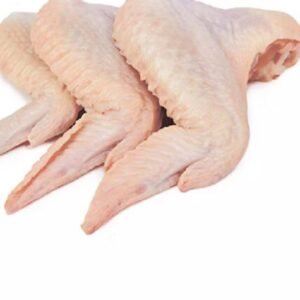 Frozen 3 Joint Wing